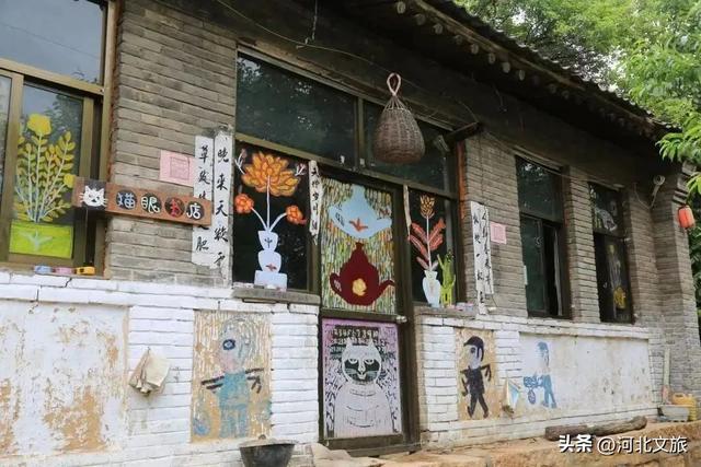 喵喵喵~山里有一个猫界桃花源！