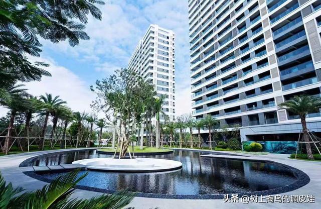 45 岁后家庭出游，星级酒店为何成首选？