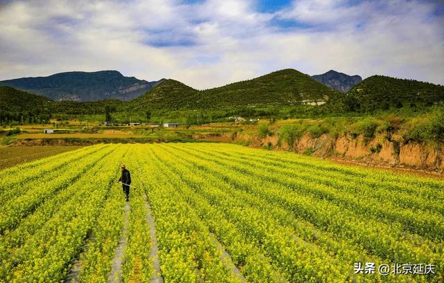 延庆,将生态文明建设写在绿水青山间——