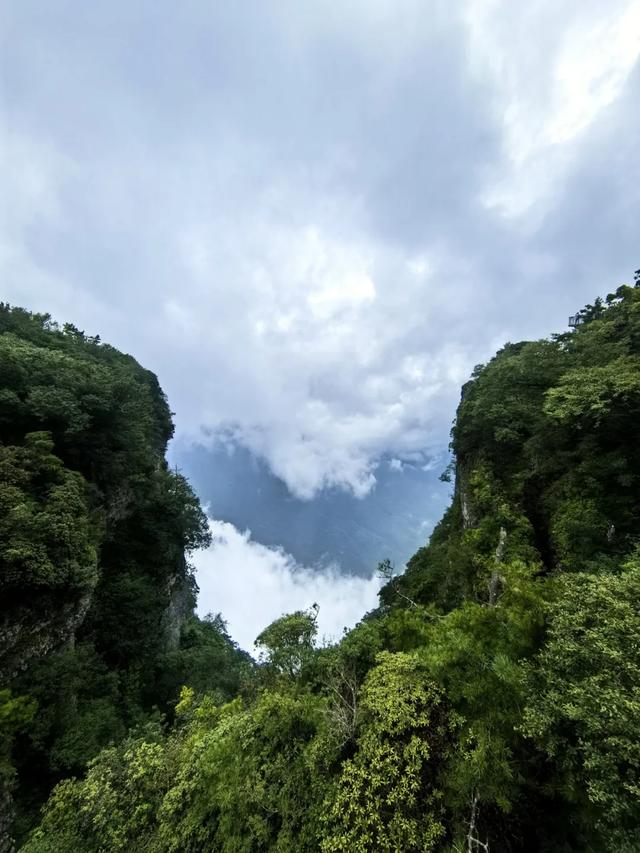 肖青林 古风||悟道龙头山（外十首）