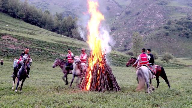礼县文旅热力全开｜这个夏天，遍地是“爆款”