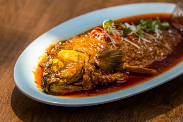 黄河!天鹅!壁画!美食!四条主题线路打开初冬的N种游玩方式