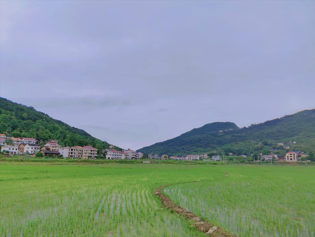 邵阳县下花桥镇和谷洲镇自然村落名录