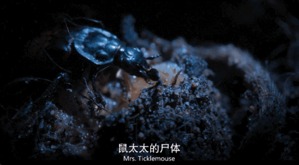 内娱男星讲荤段子，居然拿下豆瓣8.9