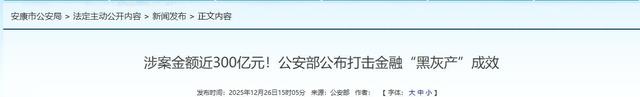 300亿大案！公安部出手	，这帮吃人不吐骨头的“吸血鬼	”终于凉了
