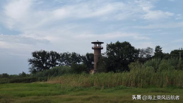 别再找秋天的海了！南京溧水这片草海才是顶流，我已去过了
