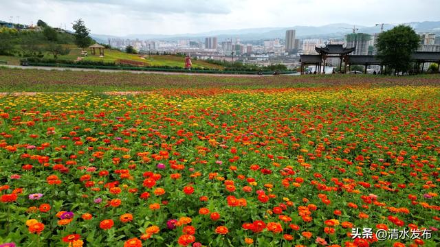 【醉美金秋 “乡”约清水】“双节”出玩指南 | 清水生态康养休闲之旅攻略来啦！