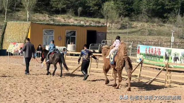 @你，鄂尔多斯植物园全攻略！暑期宝藏路线图！