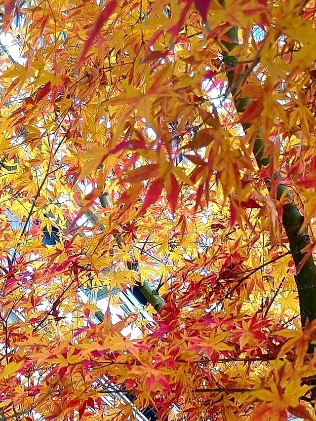 实则是柔中带刚