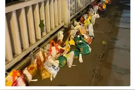 最近网上发酵的厉害的“胖猫事件”我觉得媒体最好压一压热度。图片