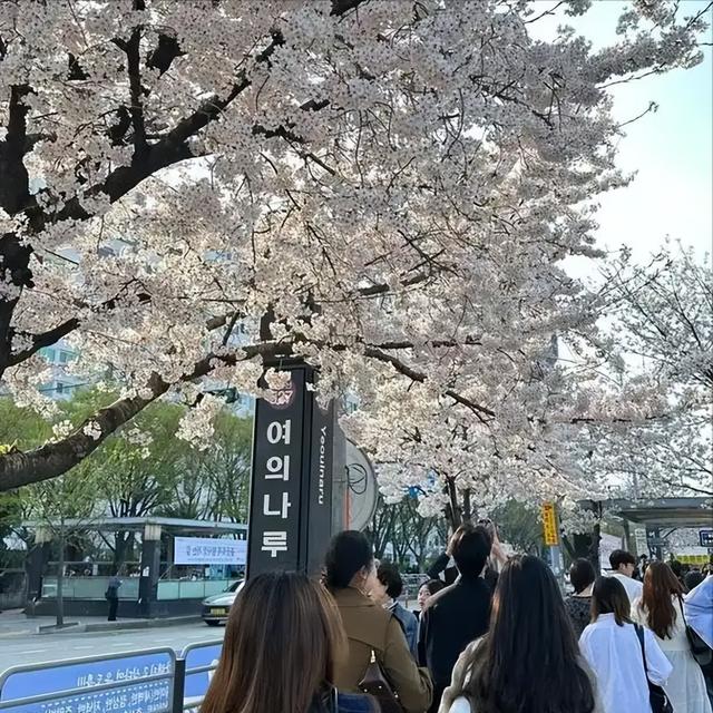 差距明显!中日韩一季度外国游客：日1000万，韩430万，中国呢？