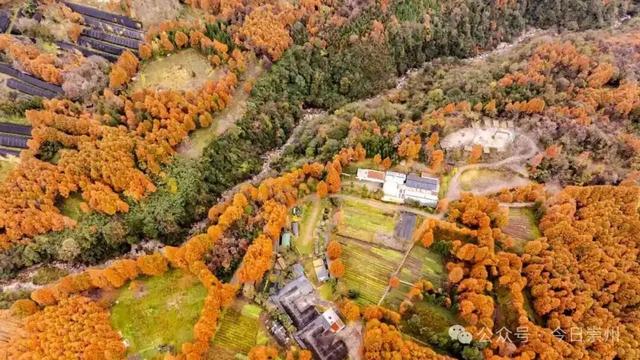 漫山彩林，琉璃坝的色彩美学