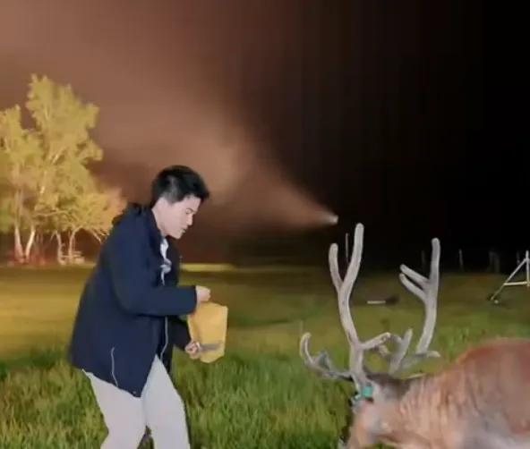 阅山河黑龙江行董宇辉收获大，见了迟子建老师，又有驯鹿意外造访