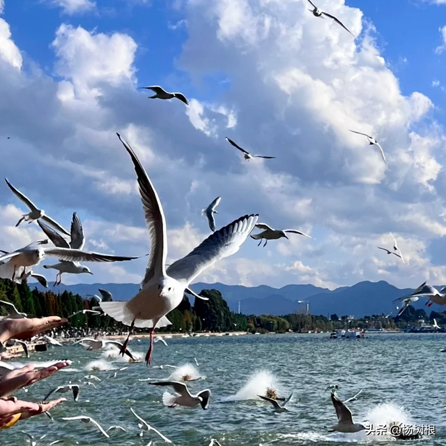 风雨无阻向西南：一场乐开怀的自驾之旅