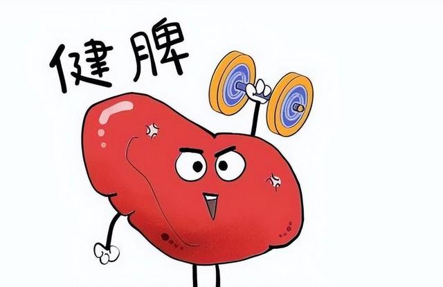 柿子受到关注！医生研究发现：常吃柿子的人，或会收获5大好处
