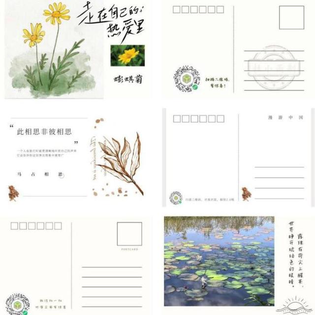 花影蜂踪·城野共生——“自然里的深圳”科普阅读推广系列活动甜蜜启幕