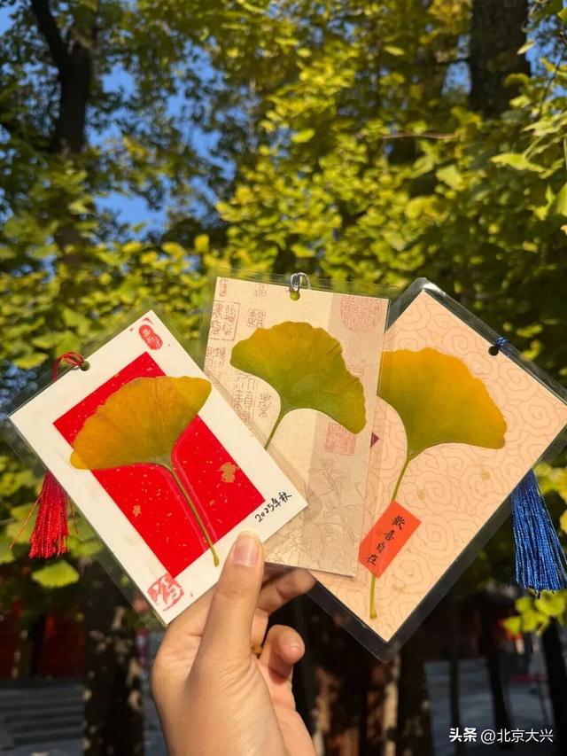 绝美！北京秋季颜值已达巅峰！这样定格最美秋天！