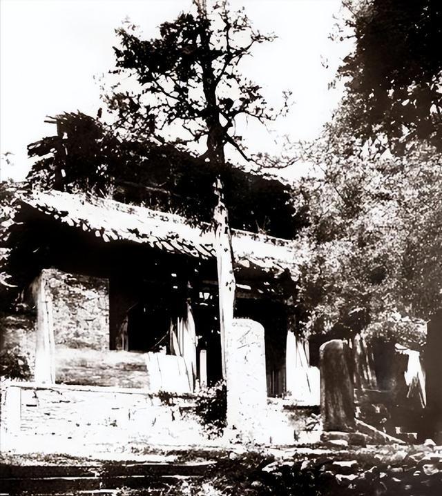 释永信事件结束不到一个月，佛教协会传出重磅消息，3人命运改变