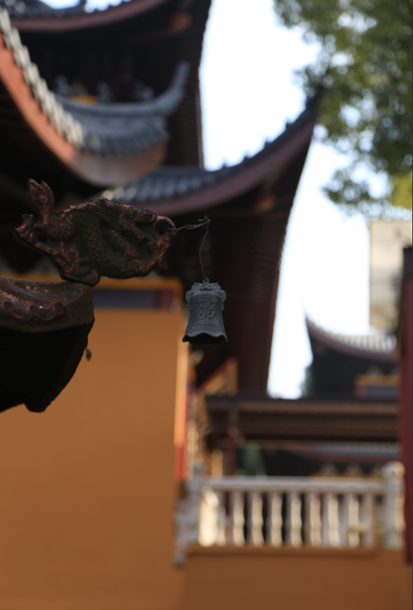 再向蜀山行：寻找古事、古庙，古井、古村