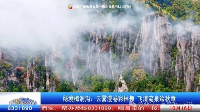 秘境梅洞沟：云雾漫卷彩林舞 飞瀑流泉绘秋章