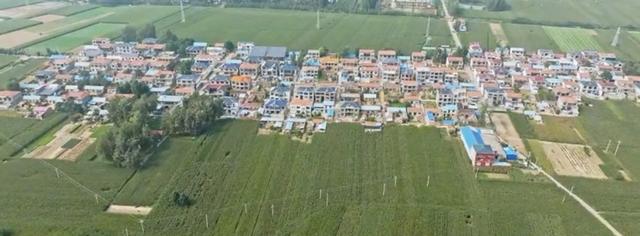 魅力曹县楼庄镇