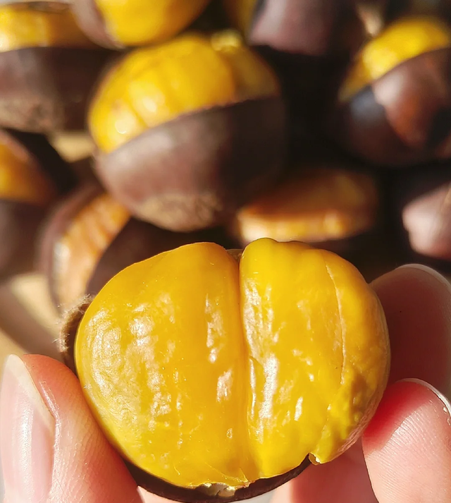 大雪至沂蒙，山水待君游