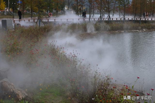 湖北随州，千年银杏谷 自然与人文的诗意交响