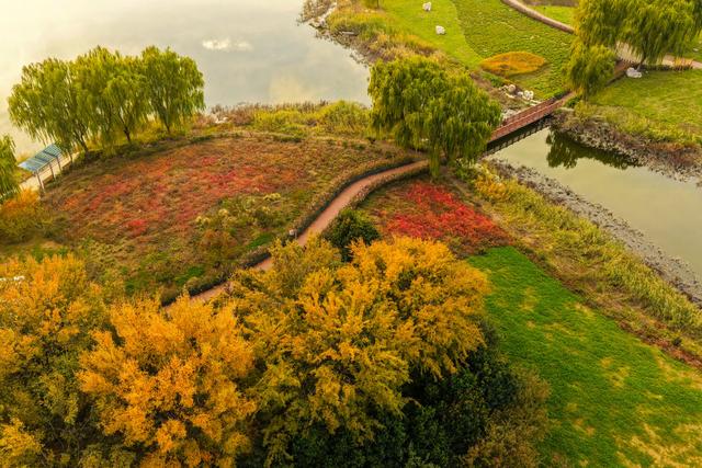 晚霞映照下的宁阳洸河湿地公园