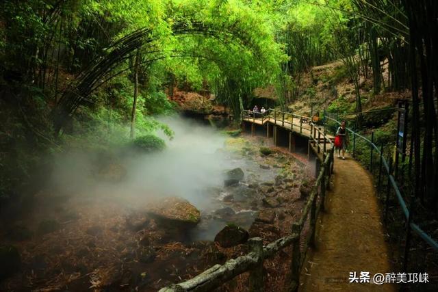 聆听邛崃丨漫步川西竹海秋日仙境