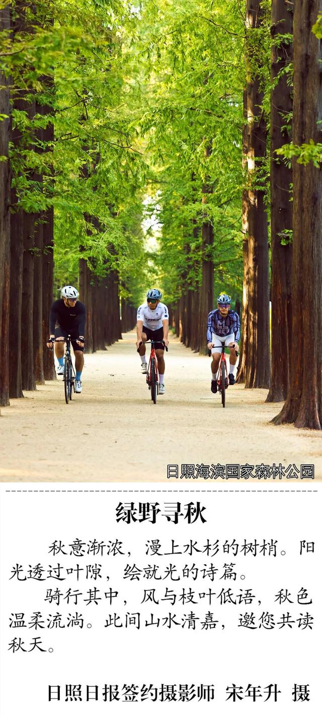 假期过半！日照这些地方嗨翻天！