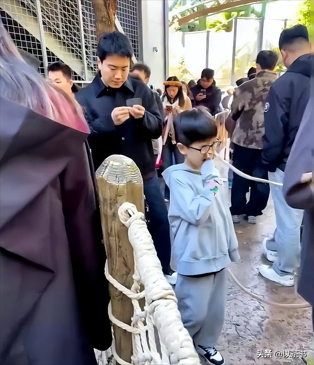 梁靖崑儿子太争气！子承父业获男单冠军奖状拿到手软，他亲自颁奖