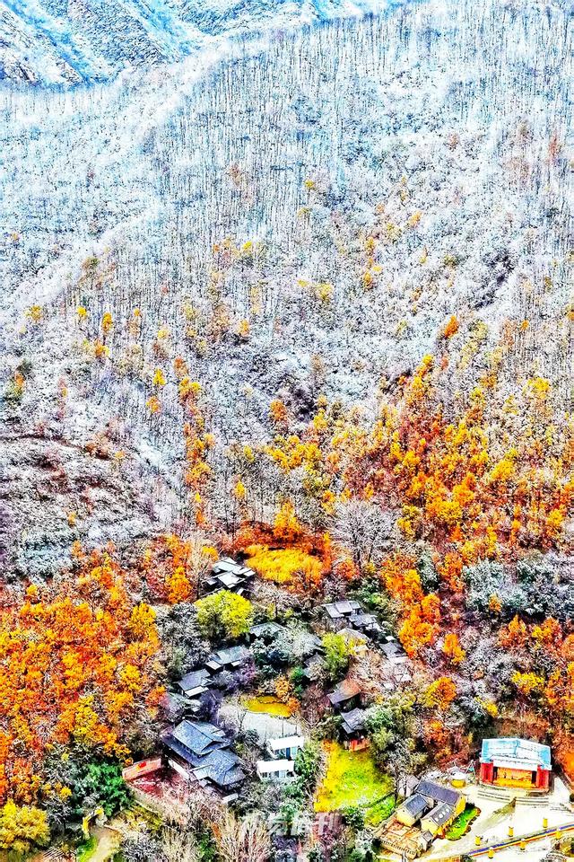 河南冬景上新,藏不住了!