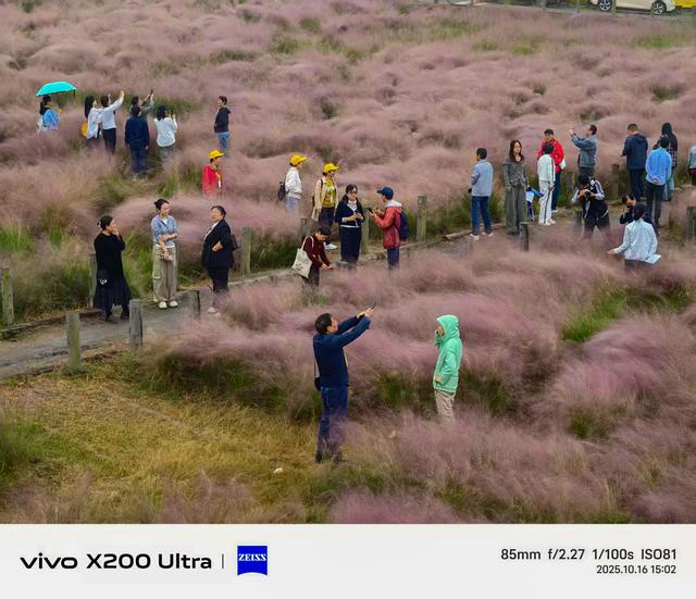 合肥蜀山区半日行：雨中粉黛花、小岭南文化赋能、科大硅谷