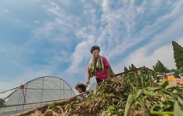 在朝鲜的玉泉国营农场，职工们可以敞开吃蔬菜，住免费的二层洋楼