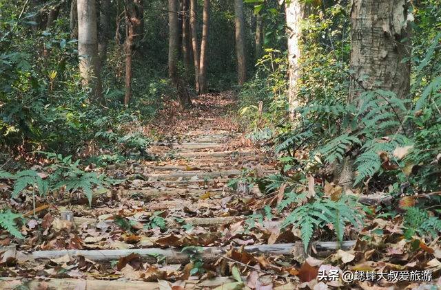 来挑战杭州7公里“名人环线古道”吧，全程5小时，真野路，超松弛