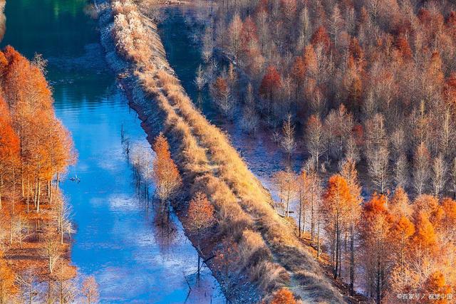 说起红叶就知道栖霞山和天平山？江南赏秋花样不要太多