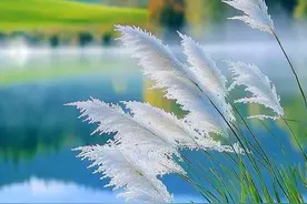 最强大的心态：对发生的一切都不害怕图片