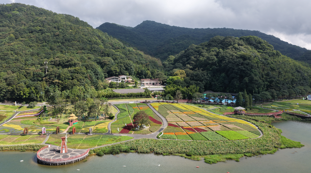 来从化，赴一场花海与音乐的约会！石门国家森林公园首届花海音乐启幕