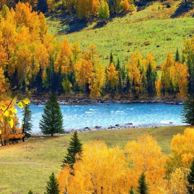 我是上海人，旅游景点喀纳斯，游神仙湾遇晨雾散后见彩石碧水