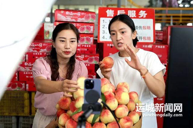 临猗苹果的电商“破圈”之路