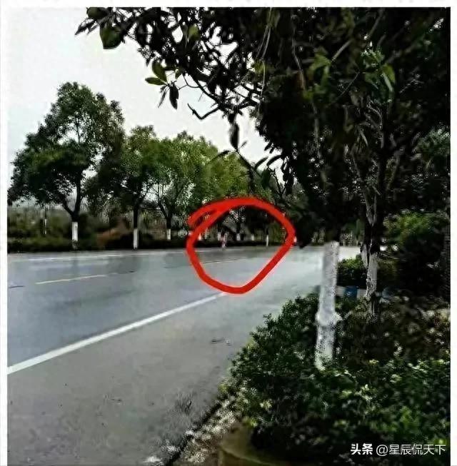一女子被老公家暴，一丝不挂走在雨中：很多路人看到后掉头走了！