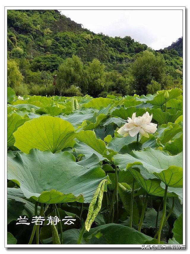 云南普者黑：自由行两日游