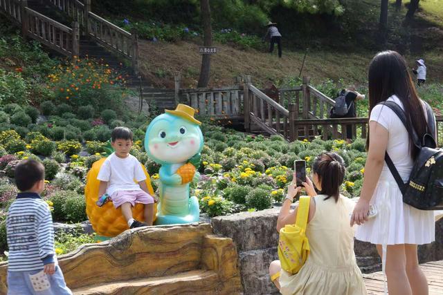 秋日限定 来麻江邂逅花海盛宴