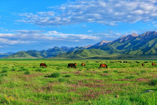 收藏起来慢慢去！国内10个地方人少景美，去过5个以上算旅行家