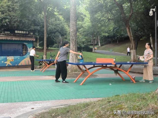 长沙南城遛娃，就爱这条免费清凉路线！
