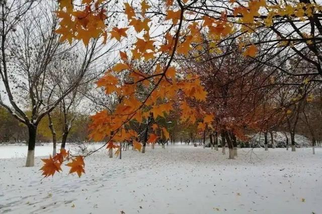 北京奥林匹克森林公园 城市中的绿色明珠