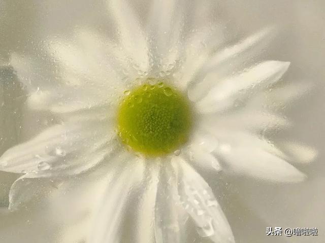 “辞职”告别就这样发朋友圈