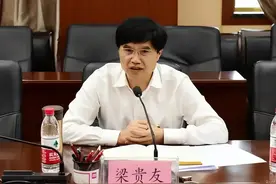 均涉嫌受贿！梁贵友、伍奕蓉被决定逮捕，危伟汉、张明良被提起公诉图片