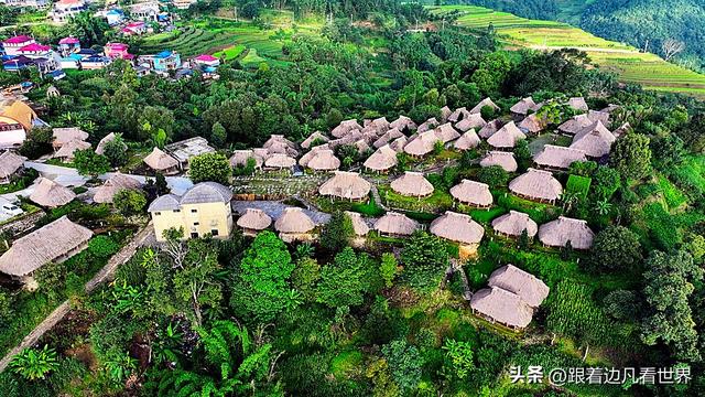 《西双版纳 澜沧行》左都佤山梯田云雾：天地间的水墨长卷