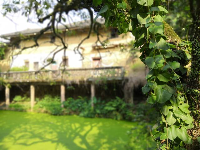 漳州平和阿里山神吴凤故里——壶嗣（2018.4.2）